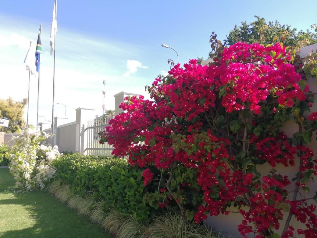 ראוסונוויל Monte Rosa Guesthouse מראה חיצוני תמונה