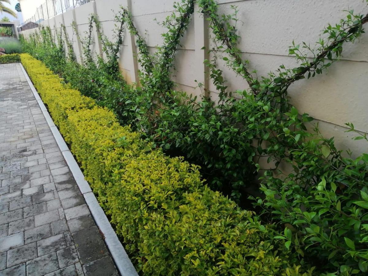 ראוסונוויל Monte Rosa Guesthouse מראה חיצוני תמונה